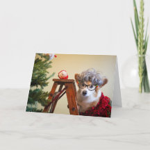 Tante Gussy der Corgi schmückt den Weihnachtsbaum