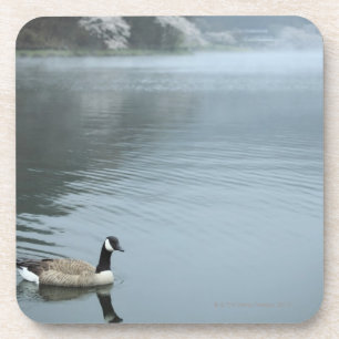 Tanuki-ko, See Tanuki Getränkeuntersetzer