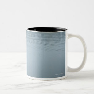 Tanuki-ko, See Tanuki Zweifarbige Tasse