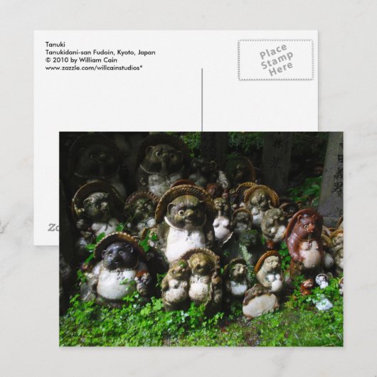 Tanuki Postkarte (Vorne/Hinten)