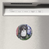 Tanukisan2, ich bin Gewartet, ich bin Gewartet Magnet (In Situ (Geschirrspüler))