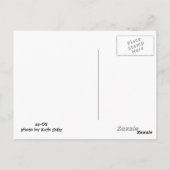 Tanz der Blume auf der Postkarte (Rückseite)