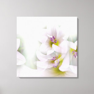Tanz der Blume Leinwanddruck