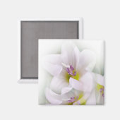 Tanz der Blume Magnet (Vorderseite/Rückseite)