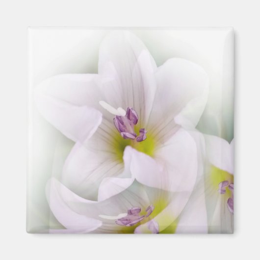 Tanz der Blume Magnet (Vorne)
