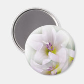 Tanz der Blume Magnet (Vorderseite/Rückseite)