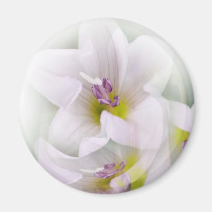 Tanz der Blume Magnet