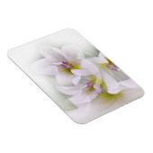 Tanz der Blume Magnet (Rechte Seite)