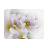 Tanz der Blume Magnet (Horizontal)