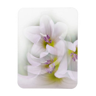Tanz der Blume Magnet
