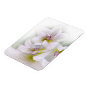 Tanz der Blume Magnet (Linke Seite)