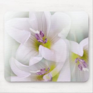 Tanz der Blume Mousepad