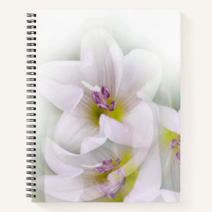 Tanz der Blume Notizblock