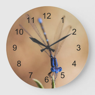 Tanz der Damselfly Große Wanduhr