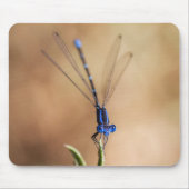 Tanz der Damselfly Mousepad (Vorne)