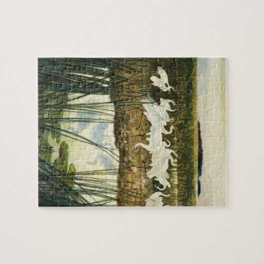 Tanz der Kraniche von N. C. Wyeth Puzzle (Horizontal)