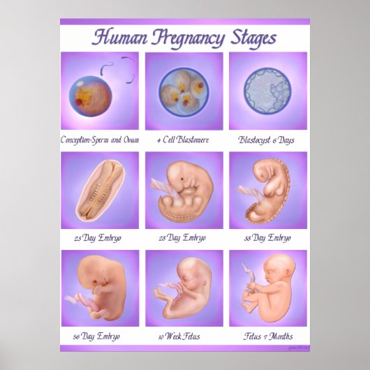 Tanz der Lebenserwartung Art Poster (Vorne)