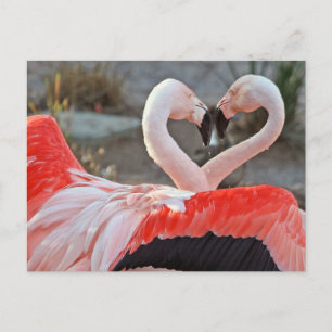 Tanz der Liebe Postkarte