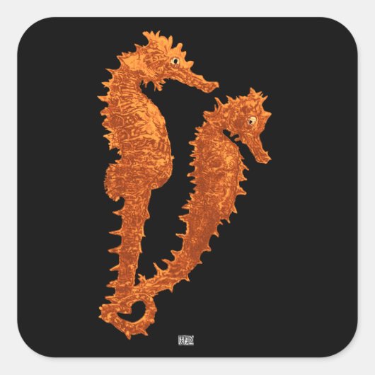 Tanz der Seepferde (Orange) Quadratischer Aufkleber (Vorderseite)