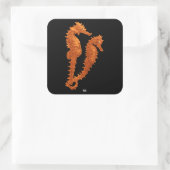 Tanz der Seepferde (Orange) Quadratischer Aufkleber (Tasche)