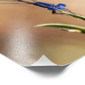 Tanz der Verdammnis Fotodruck (Ecke)