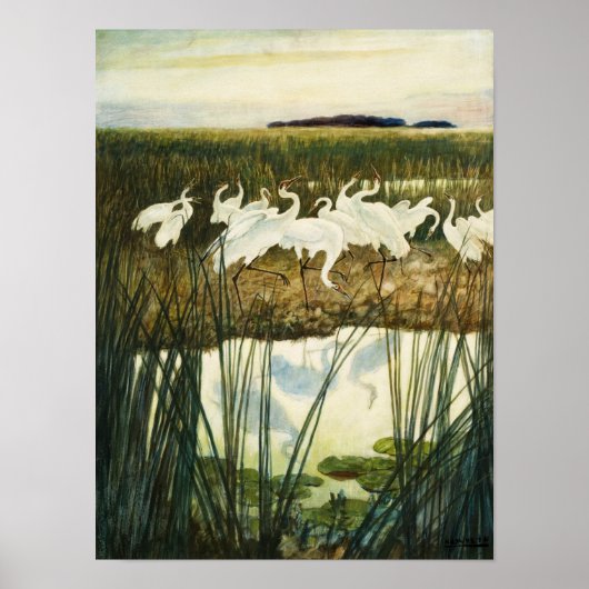 Tanz der Whooping Cranes, 1939 von N. C. Wyeth Poster (Vorne)