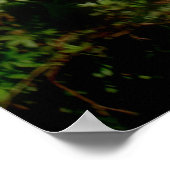 Tanz Poster (Ecke)