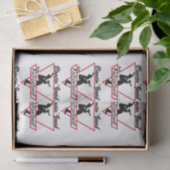 Tanzband aus Falconland-Tissue Seidenpapier (Geschenk)