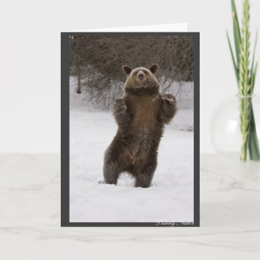 Tanzbär Karte (Vorderseite)