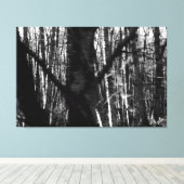 Tanzbäume auf der Insel Whidbey 525 Leinwanddruck (Insitu (Holzboden))