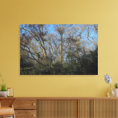 Tanzbäume aus dem Wilden Holz Leinwanddruck (Insitu (Wohnzimmer))