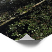 Tanzbäume aus dem Wilden Holz Poster (Ecke)