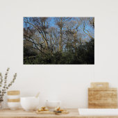 Tanzbäume aus dem Wilden Holz Poster (Küche)