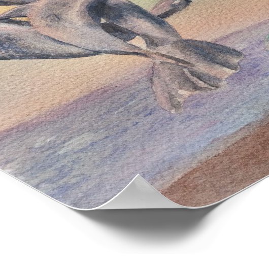 Tanzdolphine Poster (Ecke)