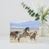 Tänze mit Hooves Postkarte (Stehend Vorderseite)