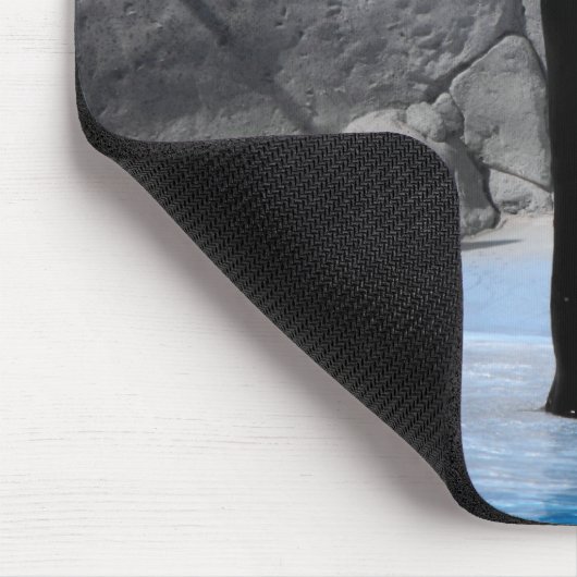 Tänze mit Seelöwen Mousepad (Ecke)