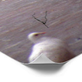 Tänze mit Tauben Poster (Ecke)