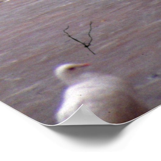 Tänze mit Tauben Poster (Ecke)