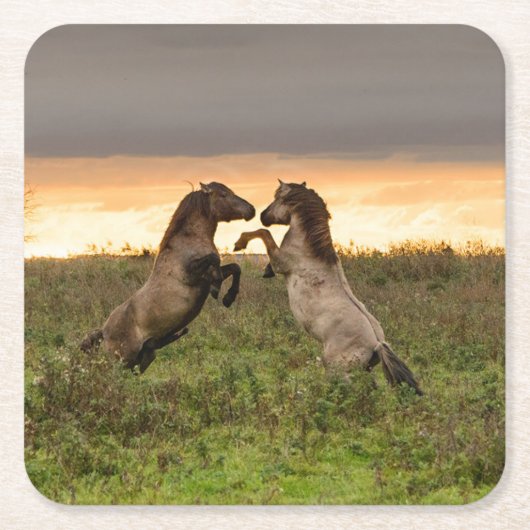 Tänzelnder wilde PferdeUntersetzer Rechteckiger Pappuntersetzer (Vorderseite)