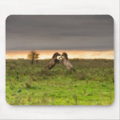 Tänzelndes Pferdmousepad Mousepad (Vorne)