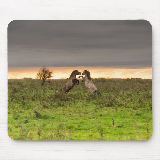 Tänzelndes Pferdmousepad Mousepad (Vorne)