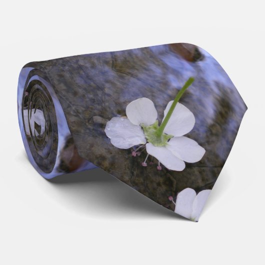 Tanzen auf Wasser Krawatte (Gerollt)