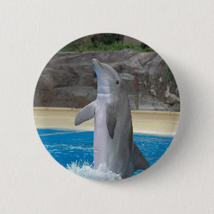 Tanzen-Delphin-Knopf Button