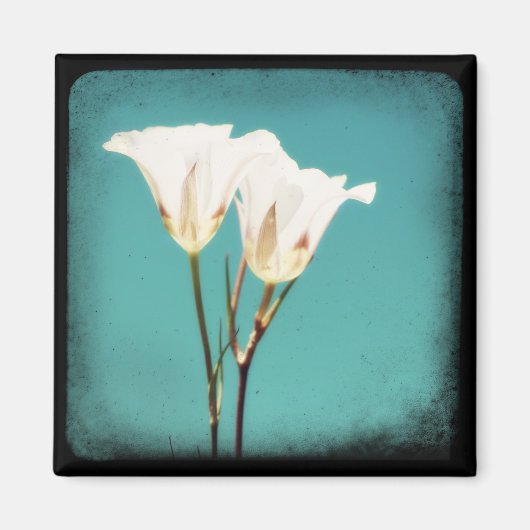 "Tanzen in der Sonne" Magnet (Vorne)