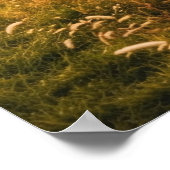 Tanzen mit der Dämmerung - Tennessee Sonnenunterga Poster (Ecke)