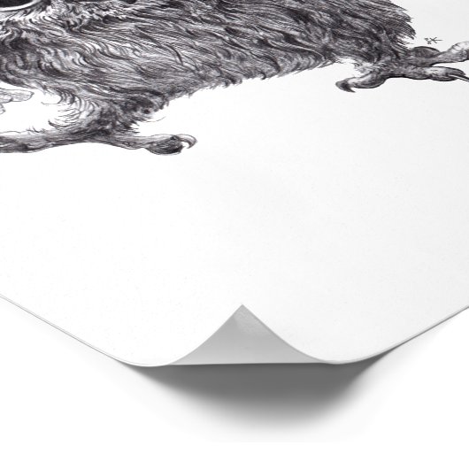 Tanzende Eule mit Roter Feder Poster (Ecke)