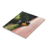 Tanzende Raupe Fliese (Seite)