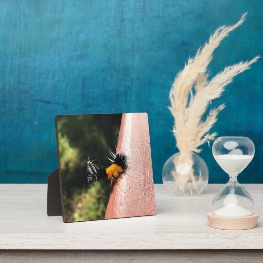 Tanzende Raupe Fotoplatte (InSitu)