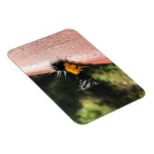 Tanzende Raupe Magnet (Rechte Seite)