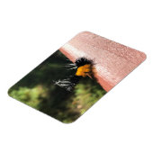 Tanzende Raupe Magnet (Linke Seite)